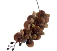 TRRYUIP Orchidea Finta Realistica Orchidee 5 pezzi (8 teste/pezzo) Falena Phalaenopsis di grandi dimensioni Nero/bianco for centrotavola decorativo for matrimonio(Brown)