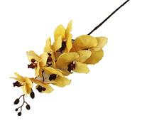 TRRYUIP Orchidea Finta Realistica Orchidee 5 pezzi (8 teste/pezzo) Falena Phalaenopsis di grandi dimensioni Nero/bianco for centrotavola decorativo for matrimonio(Champagne)