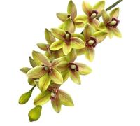 TRRYUIP Orchidea Finta Realistica Una pianta artificiale di orchidea tigre Phalaenopsis Vanda simulata a 10 teste(Yellow green)