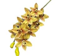 TRRYUIP Orchidea Finta Realistica Una pianta artificiale di orchidea tigre Phalaenopsis Vanda simulata a 10 teste(Yellow)