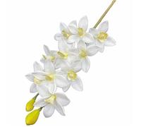 TRRYUIP Orchidea Finta Realistica Una pianta artificiale di orchidea tigre Phalaenopsis Vanda simulata a 10 teste(Yellow heart)