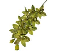 TRRYUIP Orchidea Finta Realistica Una pianta artificiale di orchidea tigre Phalaenopsis Vanda simulata a 10 teste(Green)