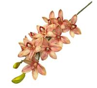 TRRYUIP Orchidea Finta Realistica Una pianta artificiale di orchidea tigre Phalaenopsis Vanda simulata a 10 teste(Coral)