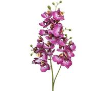 TRRYUIP Orchidea Finta Realistica Un'orchidea farfalla in lattice fiorisce 21 teste come una mini phalaenopsis artificiale(Deep pink 3)