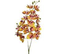 TRRYUIP Orchidea Finta Realistica Un'orchidea farfalla in lattice fiorisce 21 teste come una mini phalaenopsis artificiale(Orange)