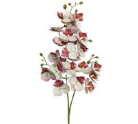 TRRYUIP Orchidea Finta Realistica Un'orchidea farfalla in lattice fiorisce 21 teste come una mini phalaenopsis artificiale(Green pink)