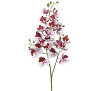 TRRYUIP Orchidea Finta Realistica Un'orchidea farfalla in lattice fiorisce 21 teste come una mini phalaenopsis artificiale(Pale pink)
