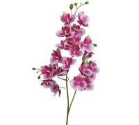 TRRYUIP Orchidea Finta Realistica Un'orchidea farfalla in lattice fiorisce 21 teste come una mini phalaenopsis artificiale(Deep pink)