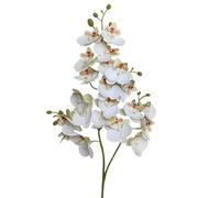 TRRYUIP Orchidea Finta Realistica Un'orchidea farfalla in lattice fiorisce 21 teste come una mini phalaenopsis artificiale(White 2)