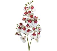 TRRYUIP Orchidea Finta Realistica Un'orchidea farfalla in lattice fiorisce 21 teste come una mini phalaenopsis artificiale(Red heart)