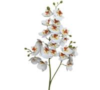 TRRYUIP Orchidea Finta Realistica Un'orchidea farfalla in lattice fiorisce 21 teste come una mini phalaenopsis artificiale(White)
