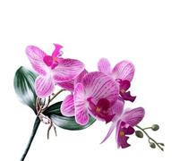 TRRYUIP Orchidea Finta Realistica Vivido panno di orchidee falena artificiale Simulazione realistica Piante phalaenopsis con foglie Orchidea farfalla finta(Color 16)