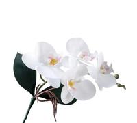 TRRYUIP Orchidea Finta Realistica Vivido panno di orchidee falena artificiale Simulazione realistica Piante phalaenopsis con foglie Orchidea farfalla finta(Color 02)