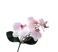 TRRYUIP Orchidea Finta Realistica Vivido panno di orchidee falena artificiale Simulazione realistica Piante phalaenopsis con foglie Orchidea farfalla finta(Color 01)