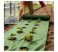 TRRYUIP Telo Pacciamatura Panno Perforato Resistente all'erba, Inclusi 10 Chiodi a Terra, Adatto for la Pellicola di Copertura del Paesaggio Giardino(0.6X9.2M)
