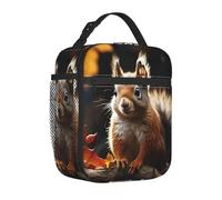 TRSGKSQP Borsa per il pranzo per donne e uomini, adulti, isolata, riutilizzabile, con scoiattolo nel bosco, a prova di perdite, borsa termica di grande capacità, contenitore per il pranzo, per lavoro