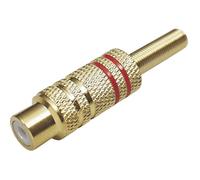 TRU COMPONENTS 1577781 Connettore RCA Giunto dritto Numero Poli (num): 2 Mono
