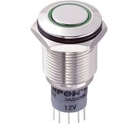 TRU COMPONENTS 701846 LAS2GQF-22ZE/G/12V/N/P Interruttore antivandalo 250 V/AC