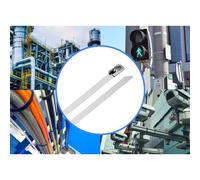 TRU COMPONENTS TC-12647560 Fascetta fermacavi in acciaio 290 mm 4.6 mm AISI 30