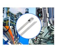 TRU COMPONENTS TC-12647632 Fascetta fermacavi in acciaio 200 mm 4.6 mm AISI 31