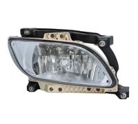 TRUCKLIGHT FL-DA007R Fendinebbia per DAF