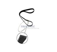 TRUCKTEC AUTOMOTIVE 07.19.245 Cinghia servizi per VW PASSAT (3B3) PASSAT (3B2)