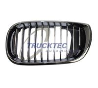 TRUCKTEC AUTOMOTIVE 08.62.298 Griglia radiatore per BMW