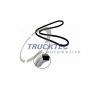 TRUCKTEC AUTOMOTIVE 14.19.033 Cinghia trapezoidale per ALFA ROMEO,ALPINE,AUSTIN,
