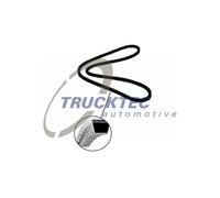 TRUCKTEC AUTOMOTIVE Cinghia Poly-V 10 x 925 per Opel Corsa B 73-79