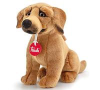 Trudi - Rhodesian Ridgeback