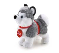 Trudino Husky