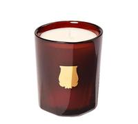 Trudon Cire 70 g - Candela