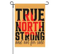 True Norths Strong And Not For Sales Bandiera Da Esterno Con Occhielli Bandiera Da Cortile Colorato Bandiere Da Cortile Per Feste Soggiorno Festival 30X45cm