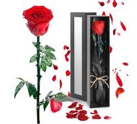 Trukafie Regalo Donna Compleanno, Rosa Stabilizzata Eterna Regalo Fidanzata Regalo Donna Regalo Anniversario Regalo Mamma Natale Regalo San Valentino Donna