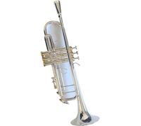 Trumento A Tromba Esecuzione Professionale Di Tromba In Argento Nichelato Tromba In Si Bemolle Piatta Scolpita
