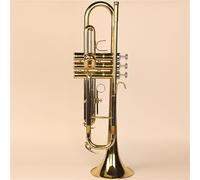 Trumento A Tromba Performance Suonare La Tromba Per Saldatura Senza Piombo Di Strumenti Musicali Per Adulti Per Principianti