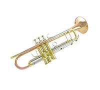 Trumento A Tromba Strumento Per Tromba B Piatto In Bronzo Fosforoso Tromba Per Principianti Professionale