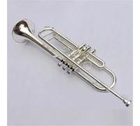 Trumento A Tromba Tromba D'argento Verso Il Basso B Tune Tromba Strumento Musicale Principianti Banda Di Trombe In Ottone