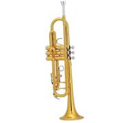 Trumento A Tromba Tromba In Sib Con Tono Laccato Dorato Tromba Classica Per Strumenti In Ottone Professionale Per Principianti