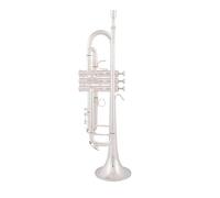 Trumento A Tromba Tromba Placcata In Argento Ottone Lacca Dorata B Piatto Tromba Per Strumenti Musicali Con Custodia(Silver)