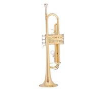 Trumento A Tromba Tromba Professionale B-tune Tromba A Tre Toni In Ottone Placcato Oro Per Principianti Per Sostenere L'esame