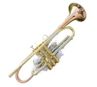 Trumento A Tromba Tromba Strumento B Tune Suonare La Tromba Tromba Professionale Per Strumenti In Ottone(Gold)