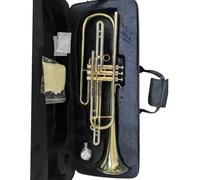 Trumento A Tromba Tubo Per Accordatura In Cupronichel Con Corpo In Ottone Tromba Professionale Per Basso In Sib Lacca Dorata