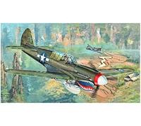 P-40n War Hawk Fighter 1:32 Plastic Model Kit TRUMPETER
