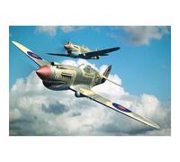 Trumpeter 1/48 P40B Warhawk (Tomahawk Mk IIA) Fighter Model Kit