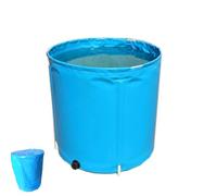 TRUNXUCL Serbatoio Pieghevole per Acqua Piovana con Coperchio Cisterna Acqua 160/220/280/300/400/470/500/620/670/780/900/1100 Litri(120x60cm/47x24in)