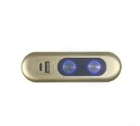 Trurovem Ricevitore reclinabile a 5 pin con porta USB, interruttore elettrico di controllo del divano per sedia elevatrice di ricambio, 2. Controllo manuale di ricarica, nero (oro)