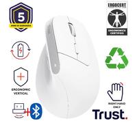 Trust Bayo+ Wireless Ergonomic Mouse Trasparente
