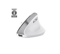 Trust - Bayo Ii Ergonomic Wireless Mouse-white Trust
