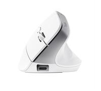Trust Bayo+ Wireless Ergonomic Mouse Trasparente